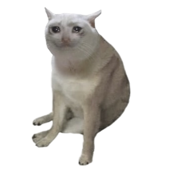Cash Cat mascot